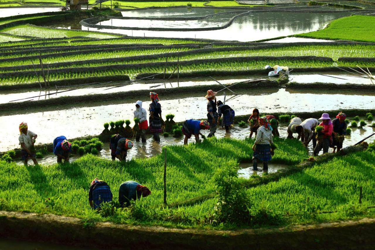 Mu Cang Chai Eco Lodge Nam San Exterior photo