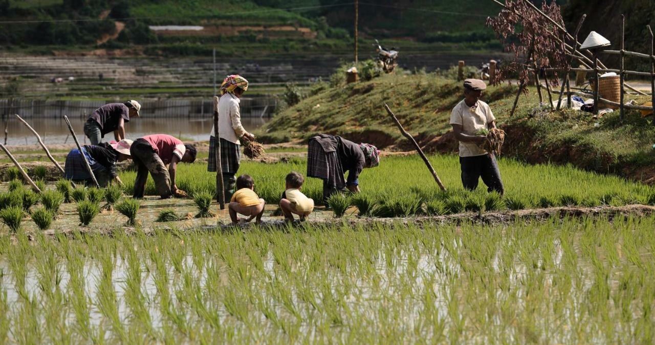 Mu Cang Chai Eco Lodge Nam San Exterior photo